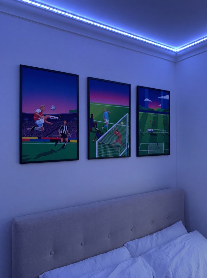 Ryan's poster on their wall